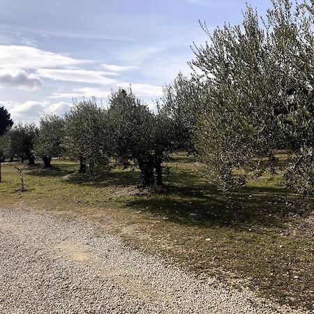 Appartement Au Milieu Des Oliviers Rasteau المظهر الخارجي الصورة