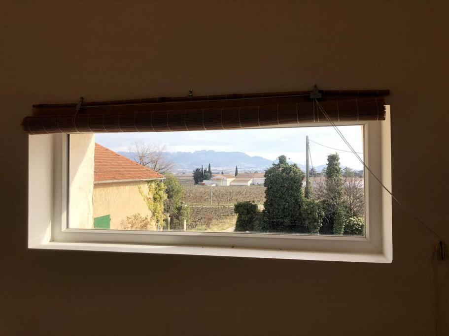Appartement Au Milieu Des Oliviers Rasteau المظهر الخارجي الصورة