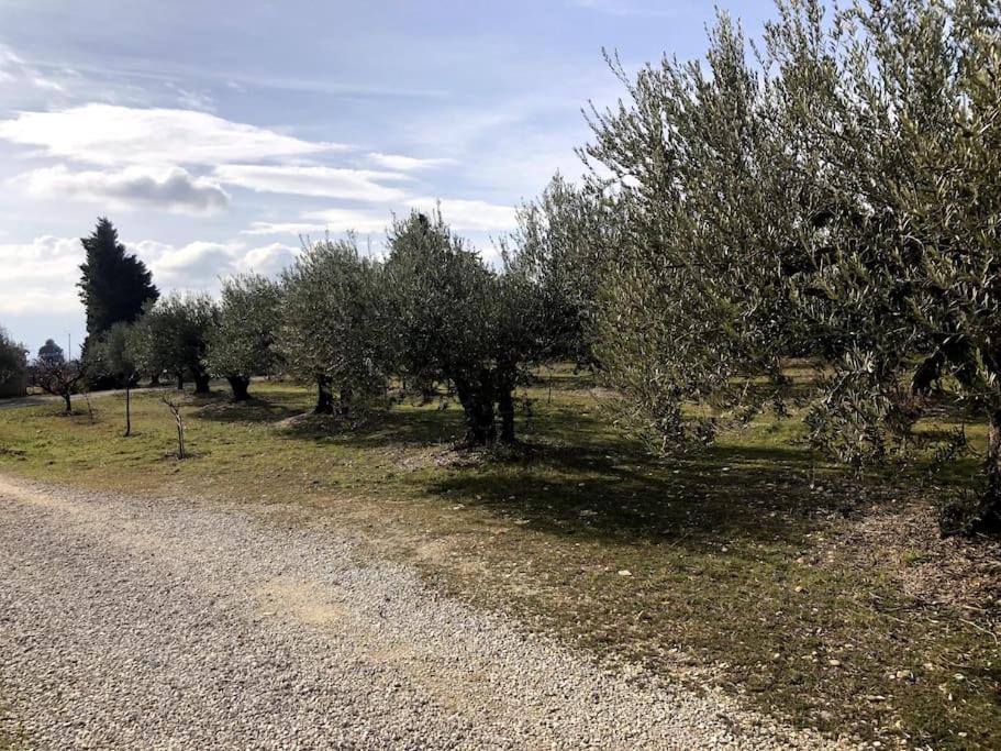 Appartement Au Milieu Des Oliviers Rasteau المظهر الخارجي الصورة